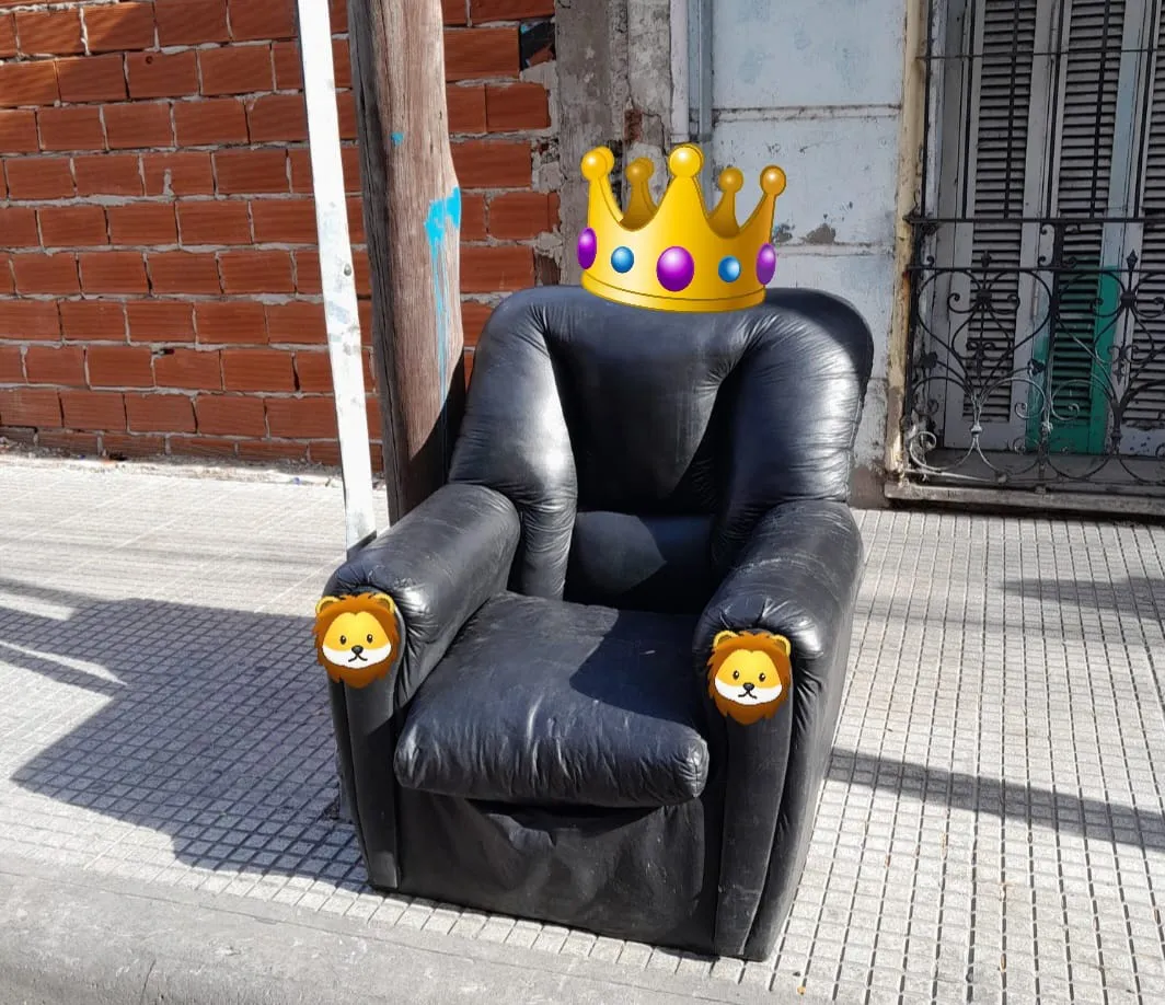 sillon MILEI en la calle